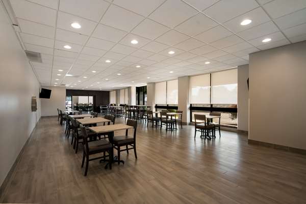 Restaurant - Best Western Hotel Springfield Mall Springfield - I-95 & I-495, Exit 169