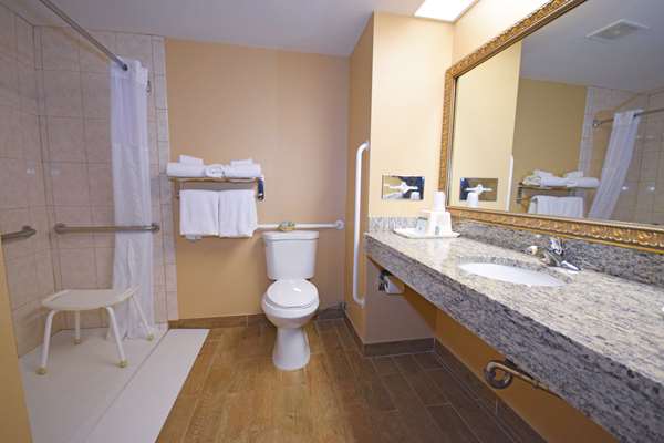  - Best Western Resort Hotel Conference Ctr Portage - I-39, Exit 92