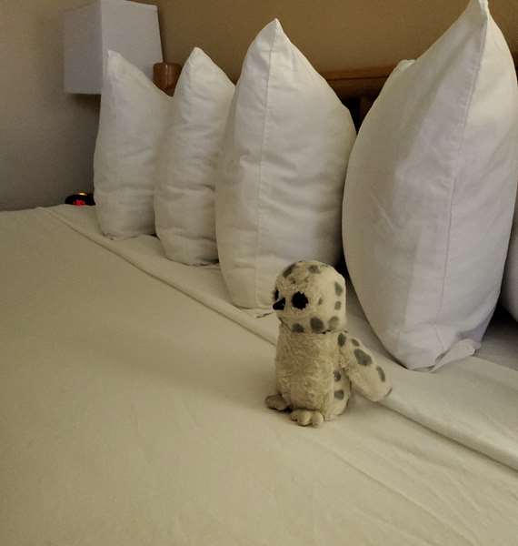  - Best Western Sheridan Center Hotel - I-90, Exit 23