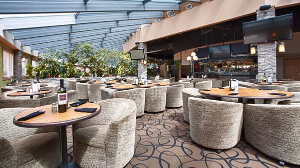 Bar - Best Western Plus Mirage Hotel & Resort High Level