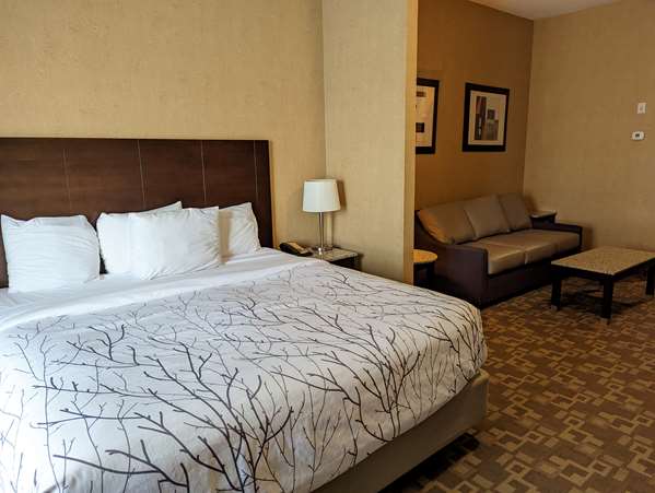  - Best Western Plus South Edmonton Inn & Suites