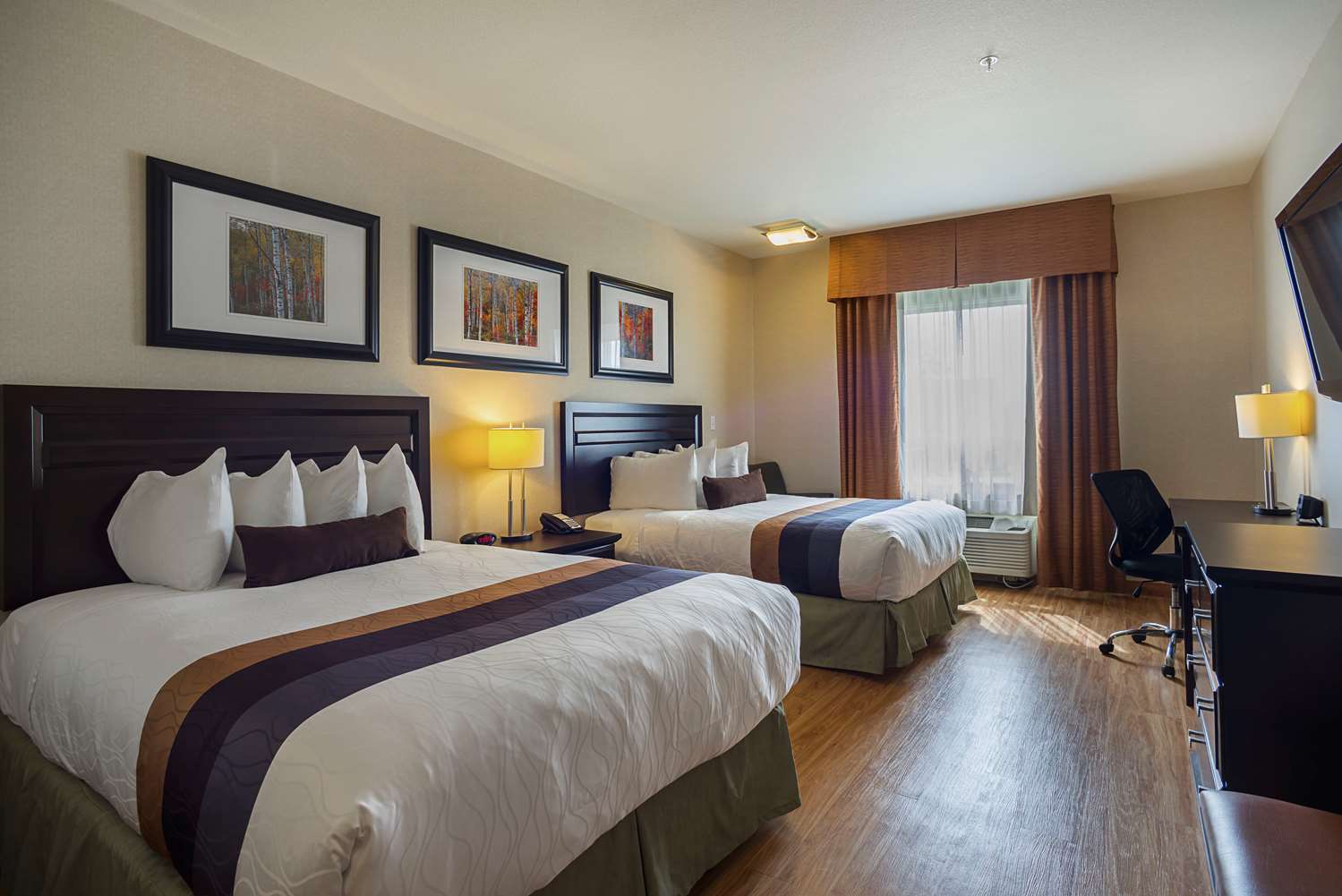 Pet Friendly Hotels In St Albert Alberta Pet Friendly Hotels In St Albert Alberta