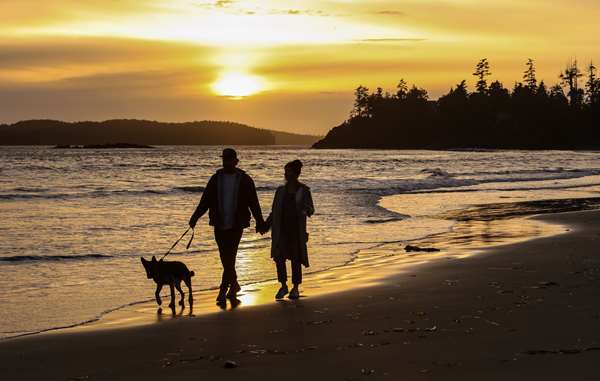 Beach - Best Western Plus Tin Wis Resort Tofino