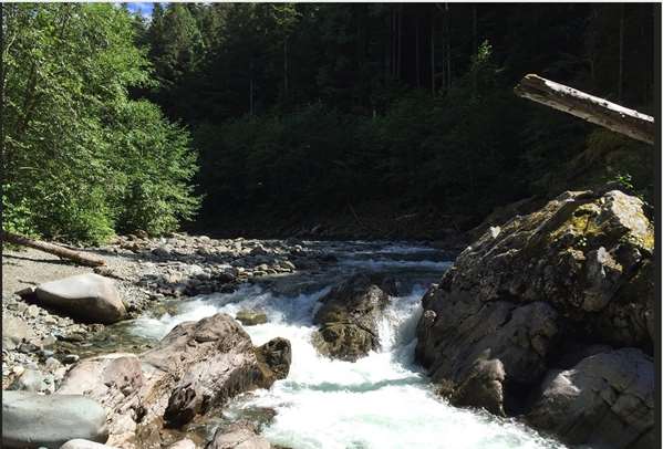  - Best Western Terrace Inn