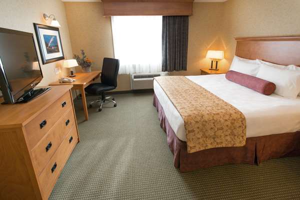 Suite - Best Western Sicamous Inn
