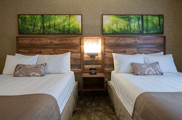  - Best Western Plus Valemount Inn & Suites