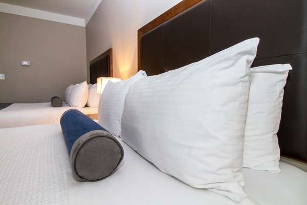  - Best Western Plus Revelstoke Inn