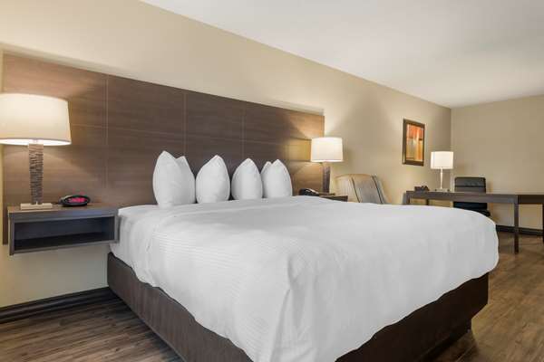  - Best Western Plus St John Hotel & Suites