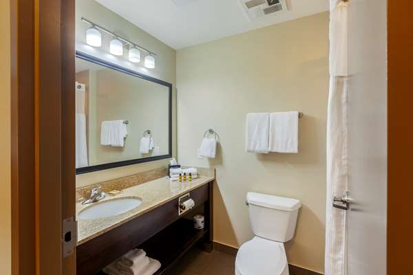 Suite - Best Western Plus East Ridge Inn Walkerton