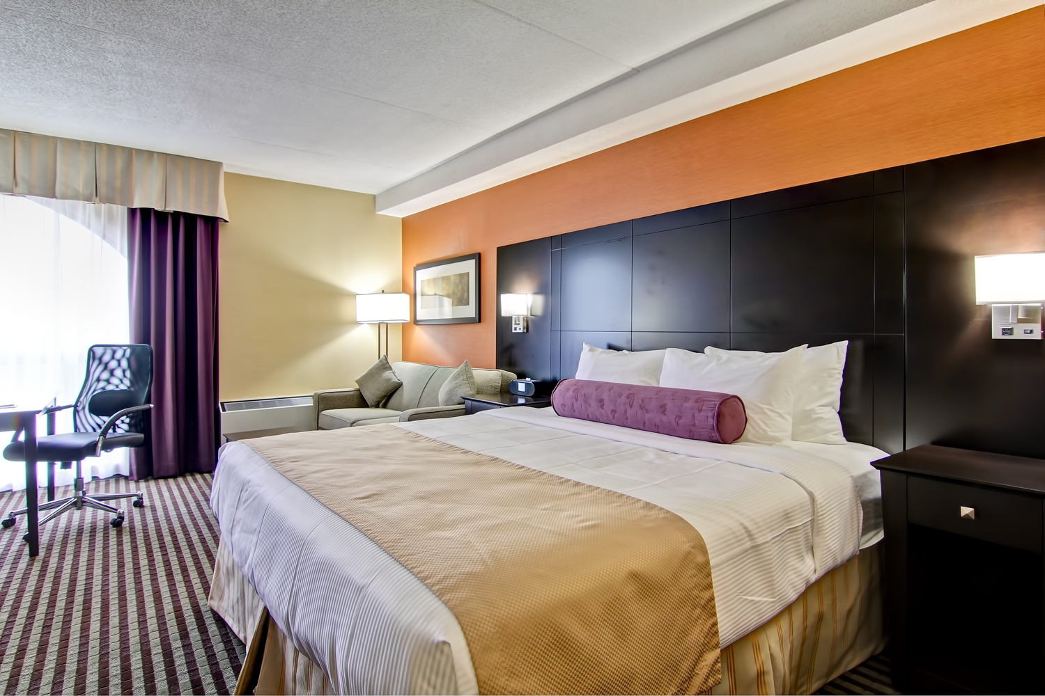 Best Western Plus Toronto North York Hotel & Suites, ON See Discounts