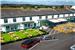 roker hotel grounds and hotel
