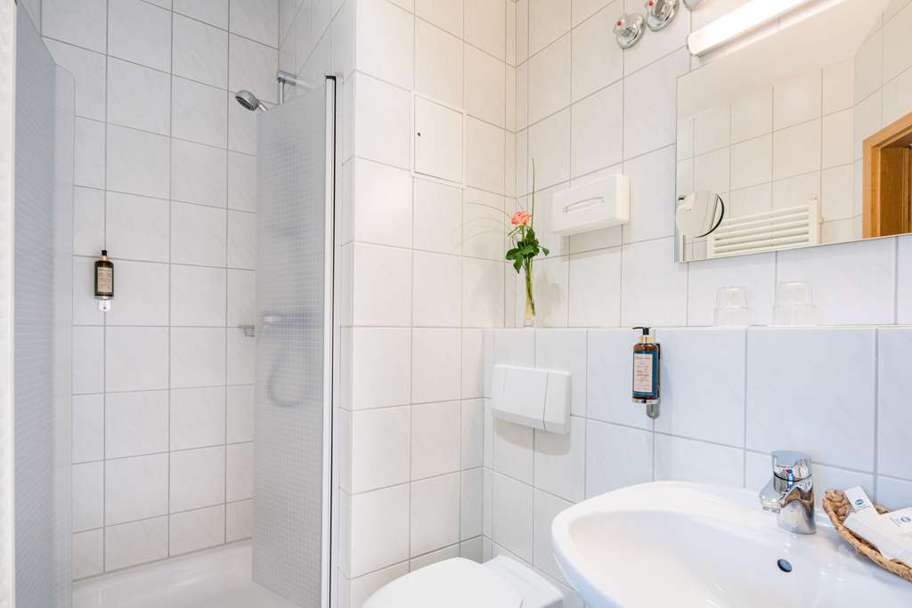 Best Western Blankenburg Hotel-guestroom-Guest Room,Bathroom,On-Site.jpg