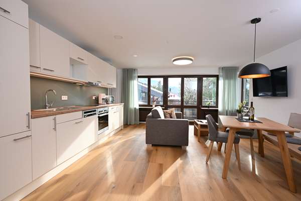 Apartment - 1 King Bed, Separate Building, Sofabed, Balcony, Separate Living Room, Kitchenette, 2 Bathrooms