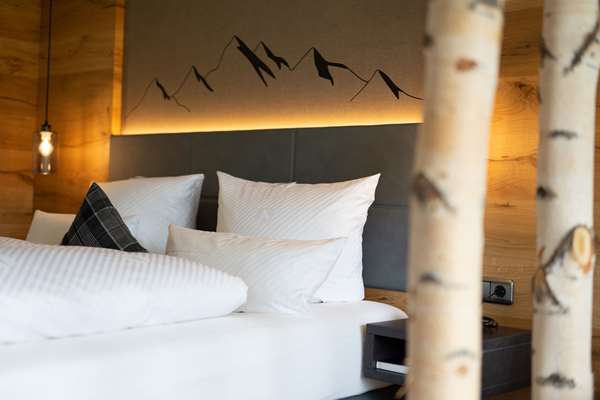 1 Double Bed, Superior Room, Mountain View, Balcony, Flat Screen Television, Mini Bar, Free W-Lan, Full Breakfast