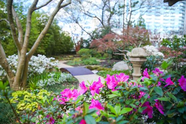 Exterior view - Grand Hyatt Hotel Buckhead Atlanta