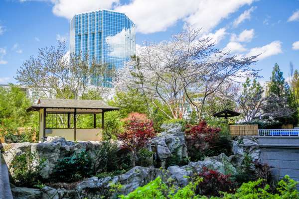 Exterior view - Grand Hyatt Hotel Buckhead Atlanta