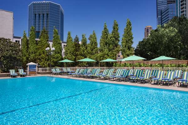 Pool - Grand Hyatt Hotel Buckhead Atlanta