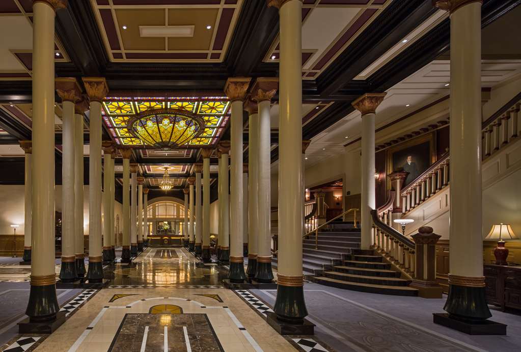 Guest photo