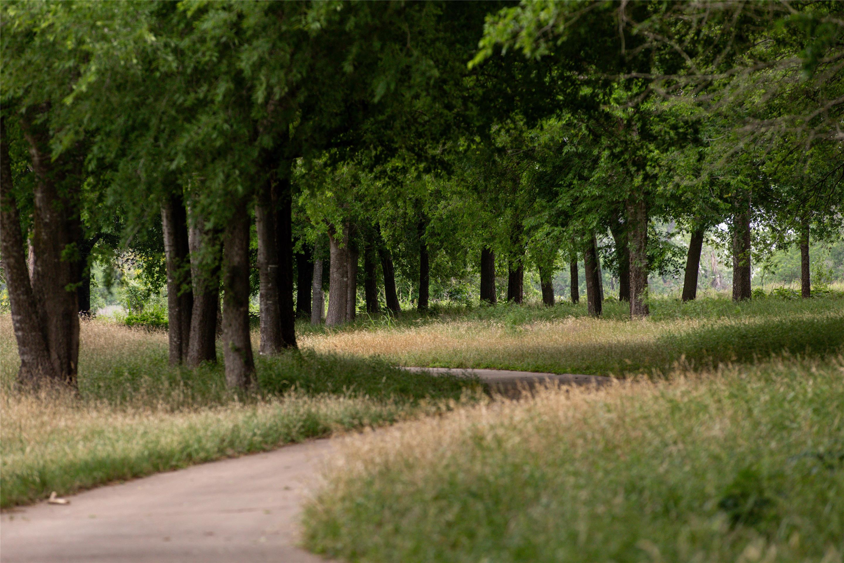 Recreational Facilities | Hyatt Regency Lost Pines Resort and Spa