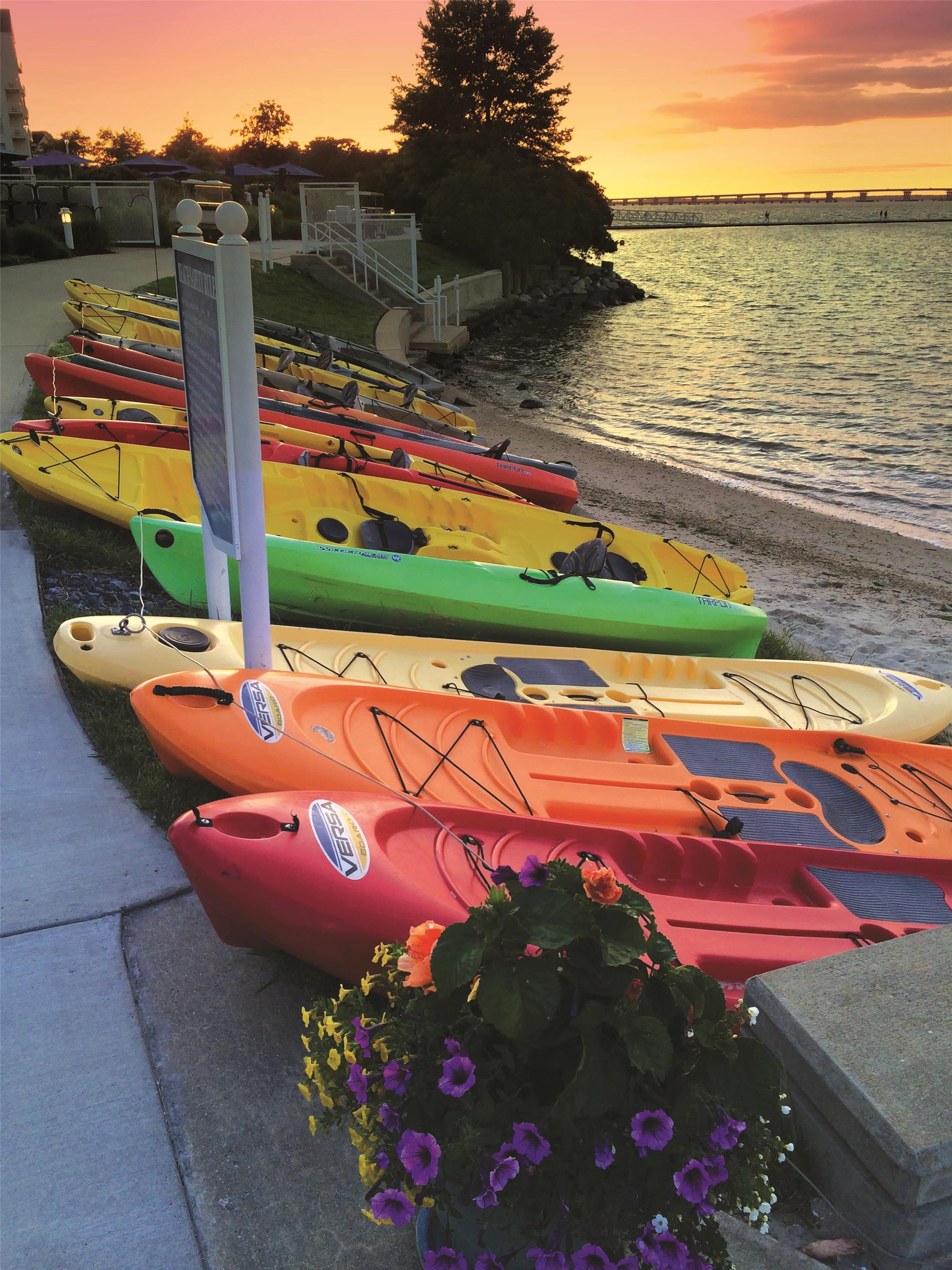 Destination | Hyatt Regency Chesapeake Bay