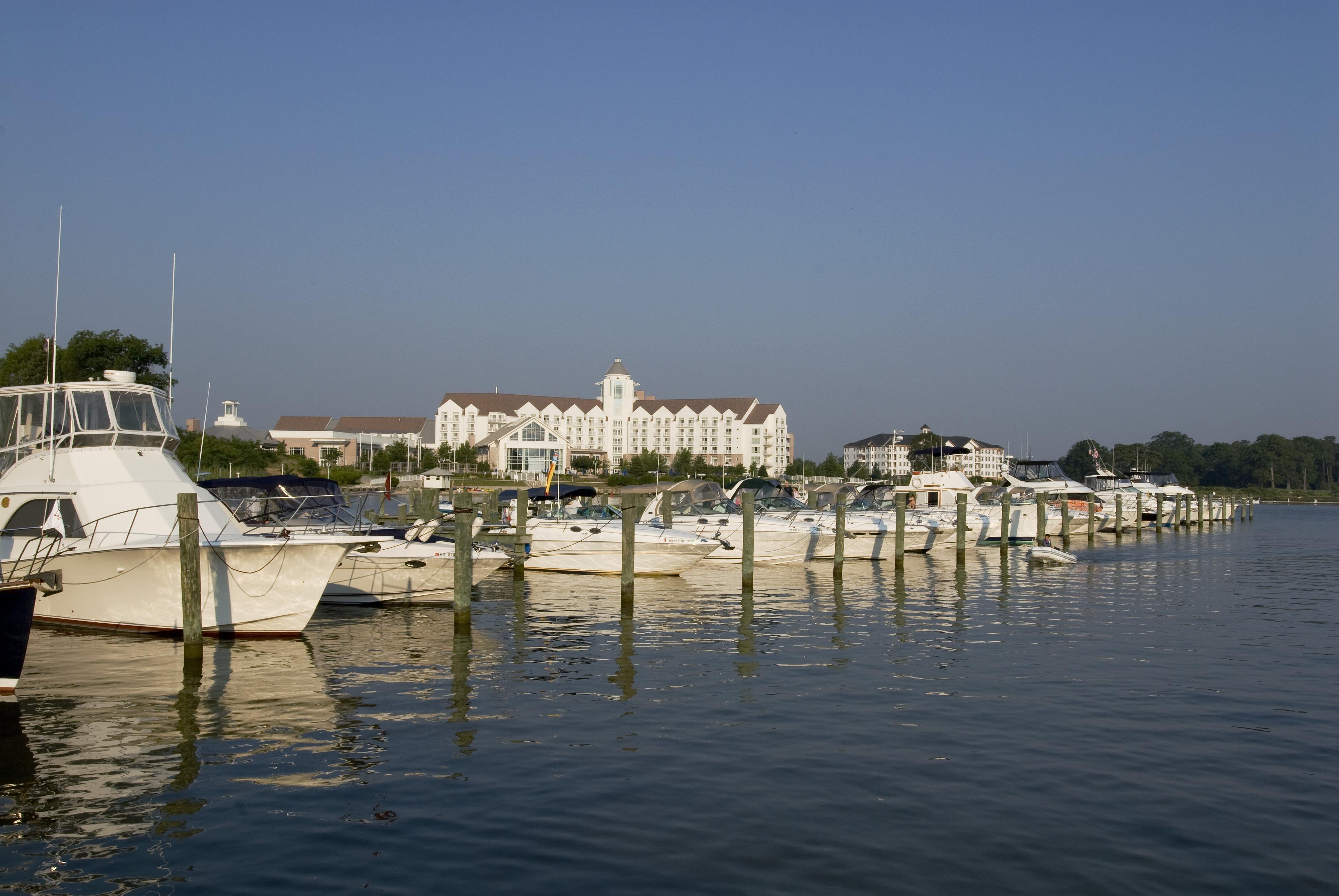 Exterior | Hyatt Regency Chesapeake Bay