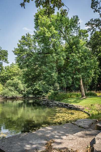 Recreation - Hyatt Lodge Oak Brook