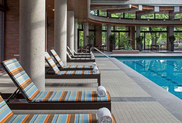 Pool - Hyatt Lodge Oak Brook