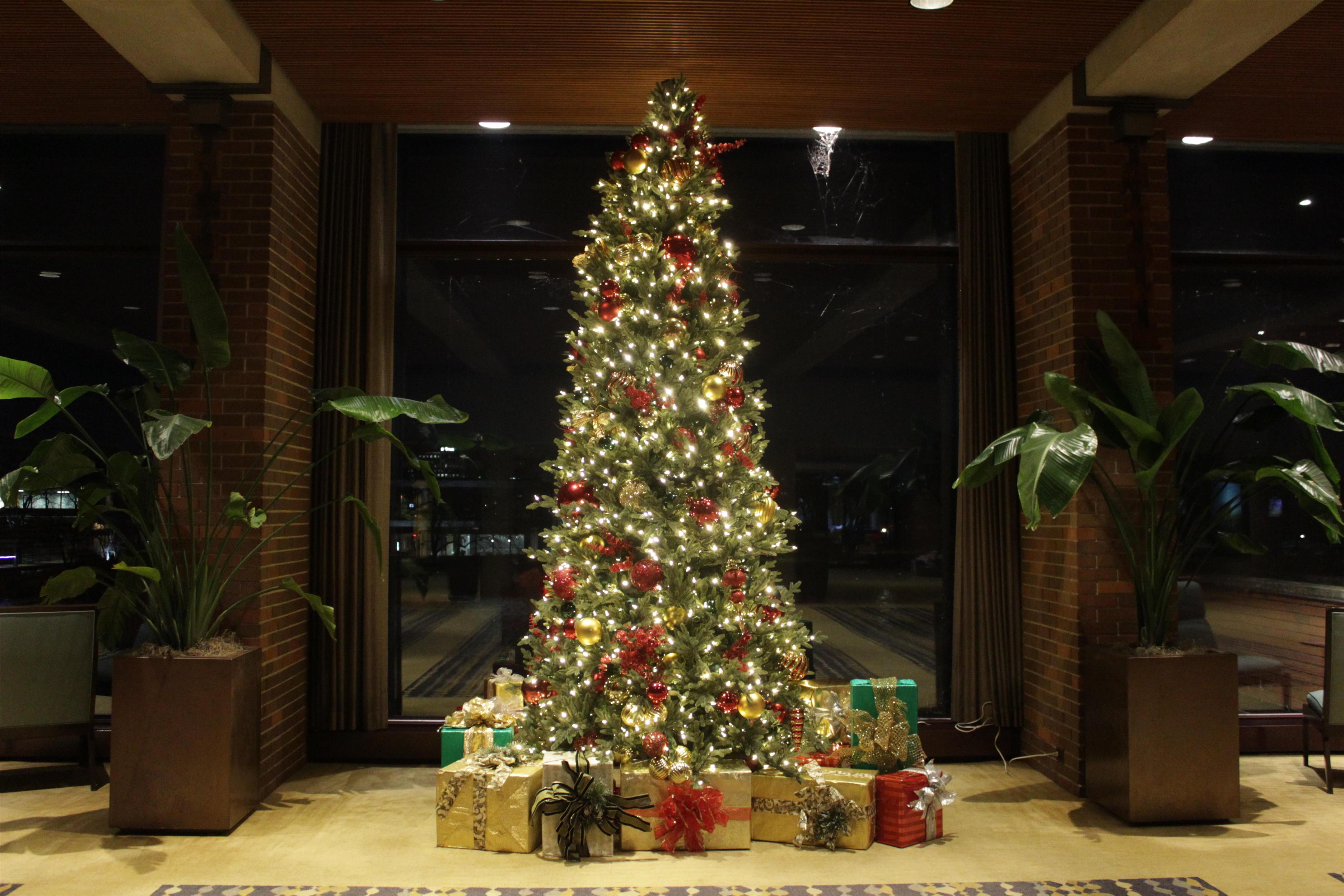 Lobby | Hyatt Lodge Oak Brook Chicago