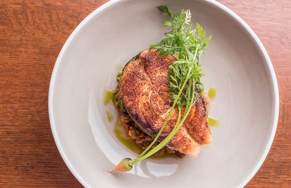 Restaurant - Hyatt Regency Hotel Chicago