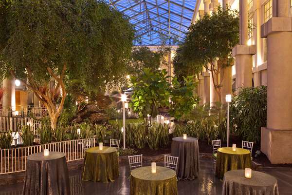 Restaurant - Hyatt Regency Hotel Old Greenwich - I-95, Exit 5