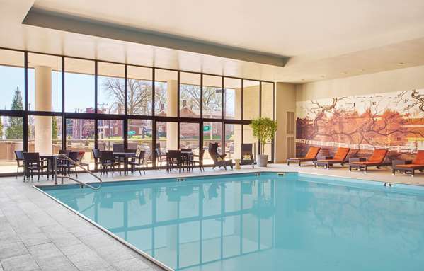 Pool - Hyatt Regency Hotel Lexington