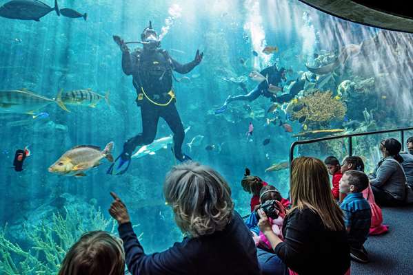  - Hyatt Centric Pike Hotel Long Beach