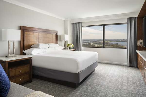 Suite - Hyatt Regency Hotel Orlando