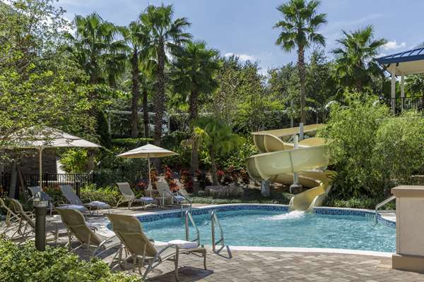 Pool - Hyatt Regency Hotel Orlando
