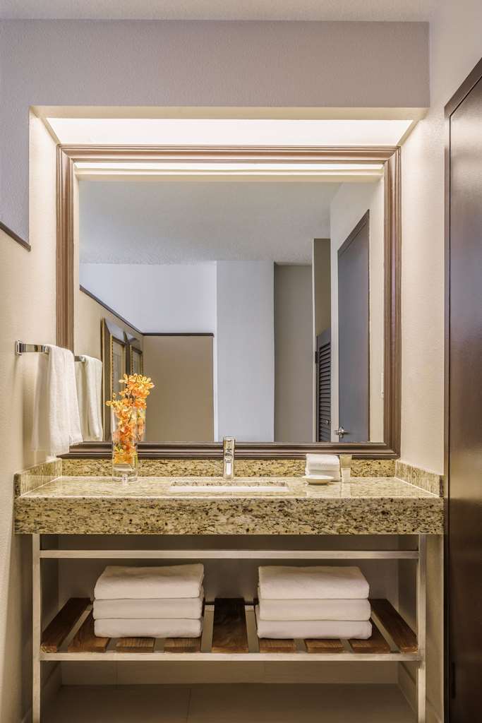 HYATT REGENCY MIAMI - Photo 43