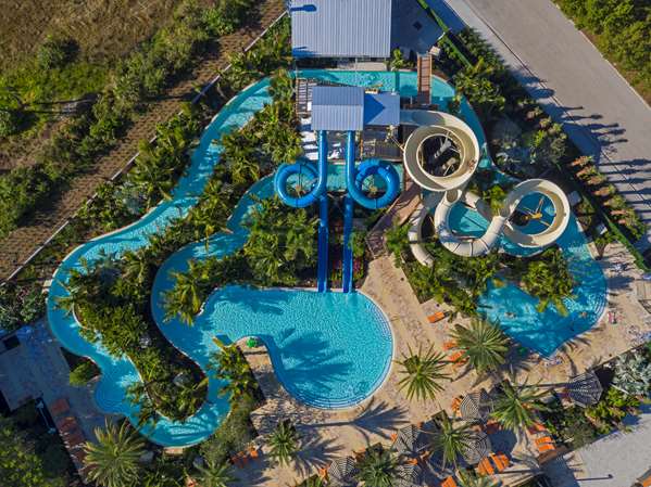 Pool - Hyatt Regency Coconut Point Resort & Spa Bonita Springs