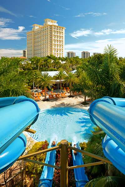 Pool - Hyatt Regency Coconut Point Resort & Spa Bonita Springs