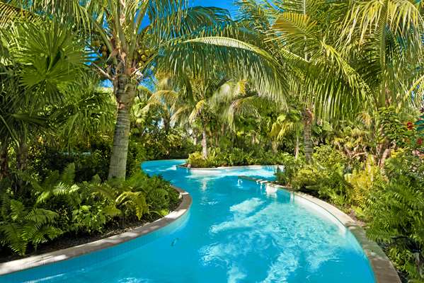 Pool - Hyatt Regency Coconut Point Resort & Spa Bonita Springs