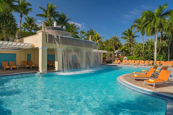 Pool - Hyatt Regency Coconut Point Resort & Spa Bonita Springs