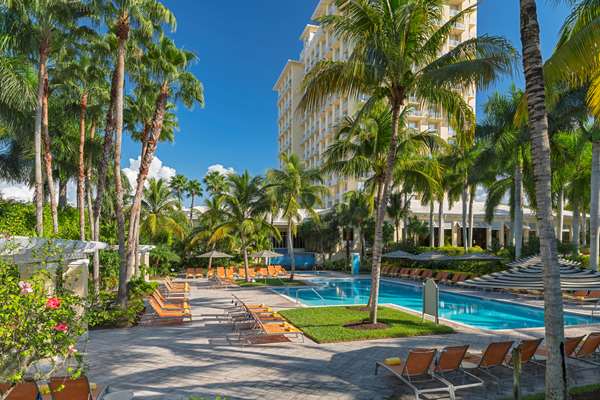 Pool - Hyatt Regency Coconut Point Resort & Spa Bonita Springs