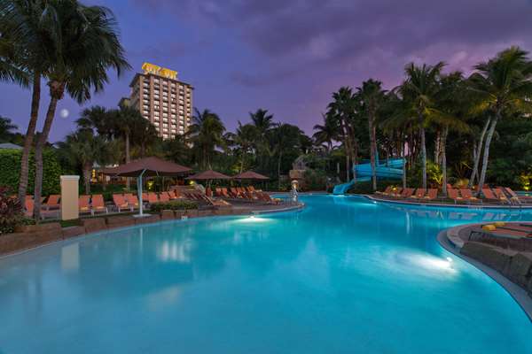 Pool - Hyatt Regency Coconut Point Resort & Spa Bonita Springs