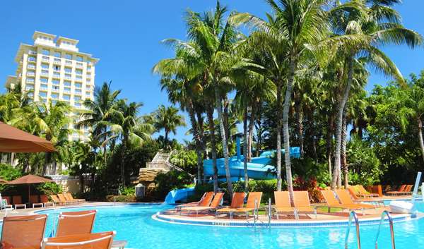 Pool - Hyatt Regency Coconut Point Resort & Spa Bonita Springs