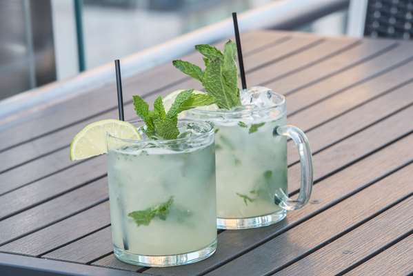 Bar - Hyatt Hotel Herald Square New York