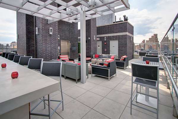 Bar - Hyatt Hotel Herald Square New York