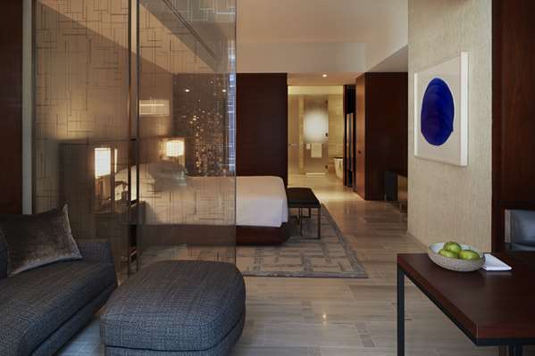 Suite - Park Hyatt Hotel New York