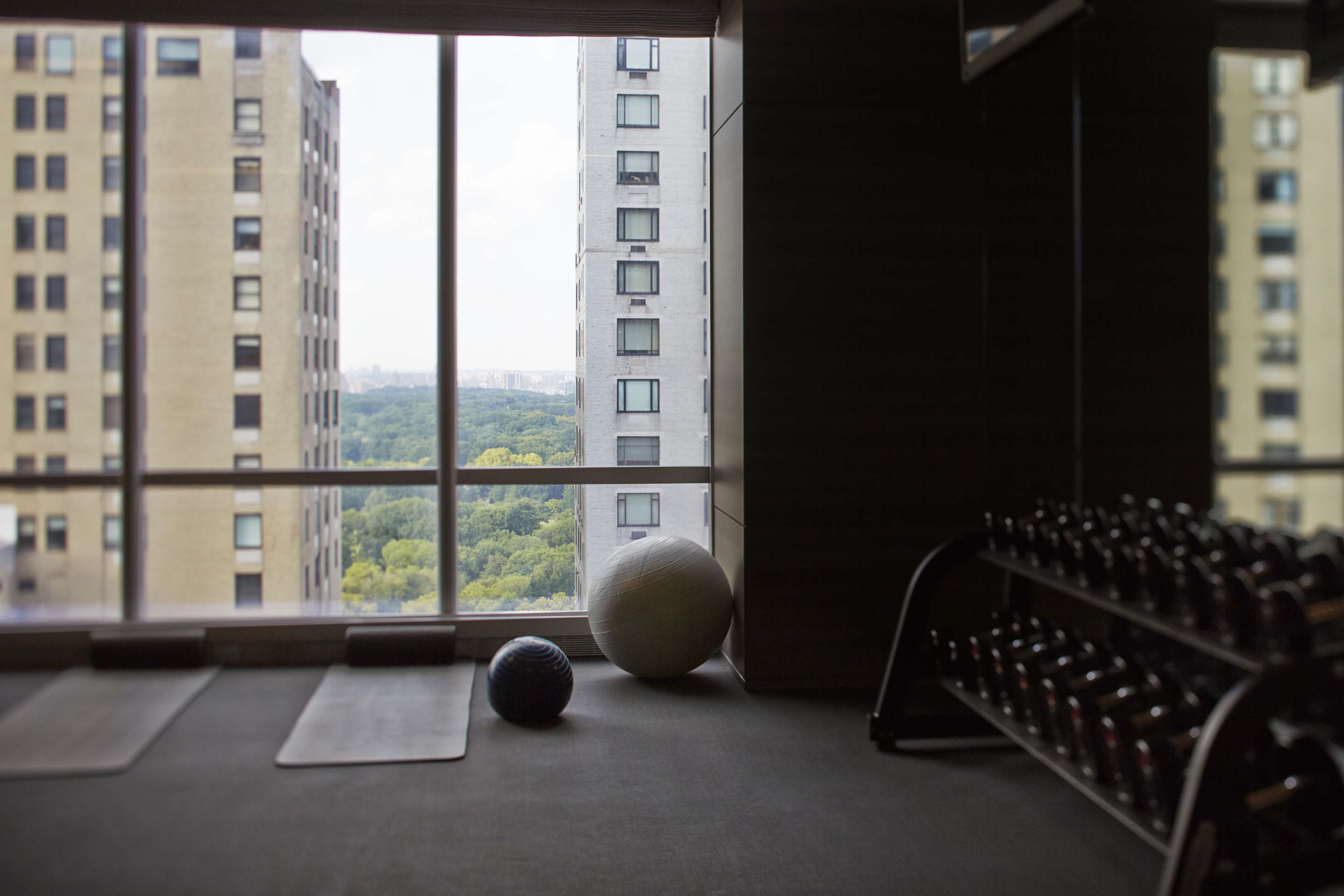 Health Club | Park Hyatt New York