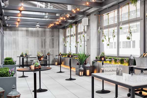 Pool - Hyatt Centric Times Square Hotel New York