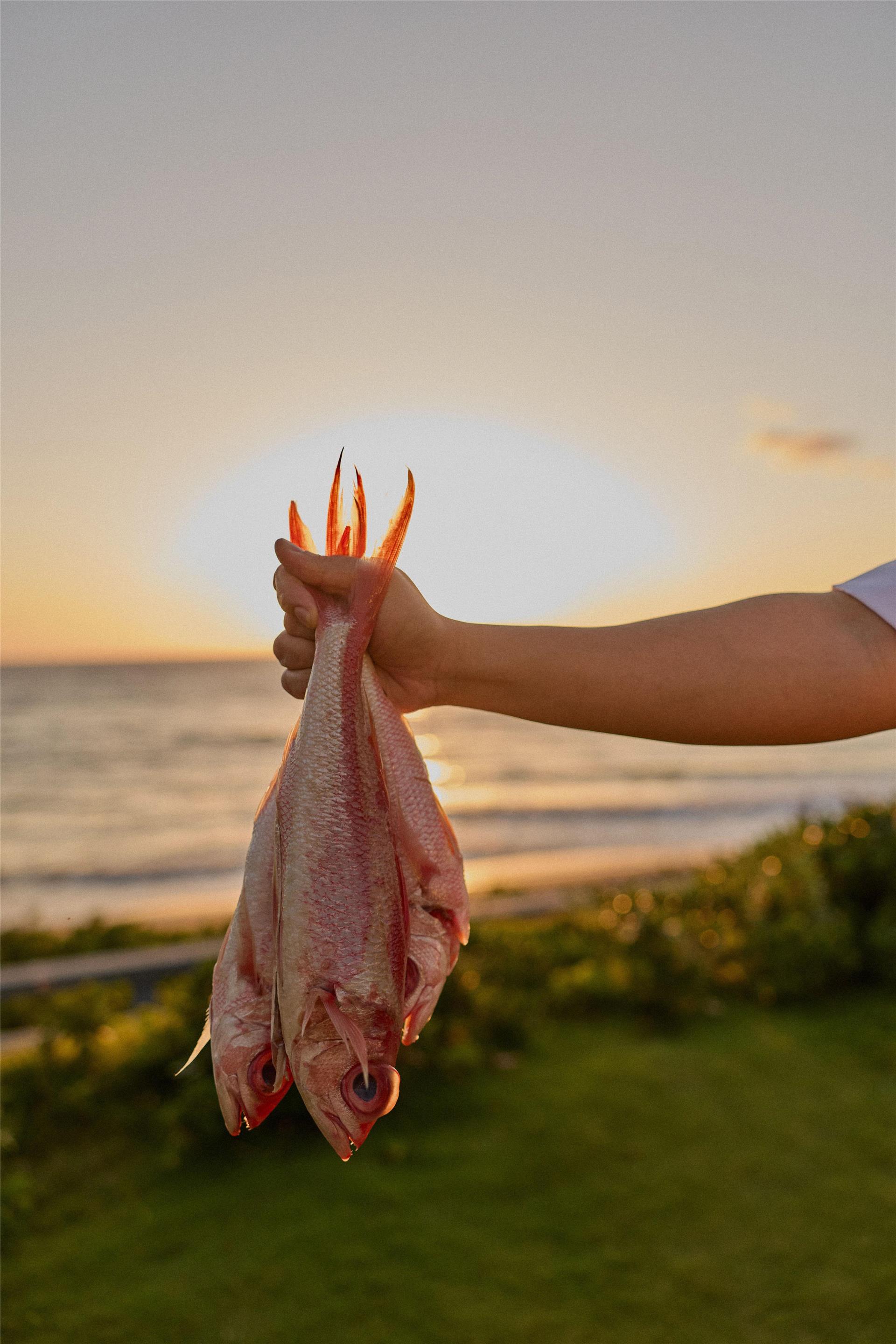 Restaurant | Andaz Maui at Wailea Resort - a concept by Hyatt