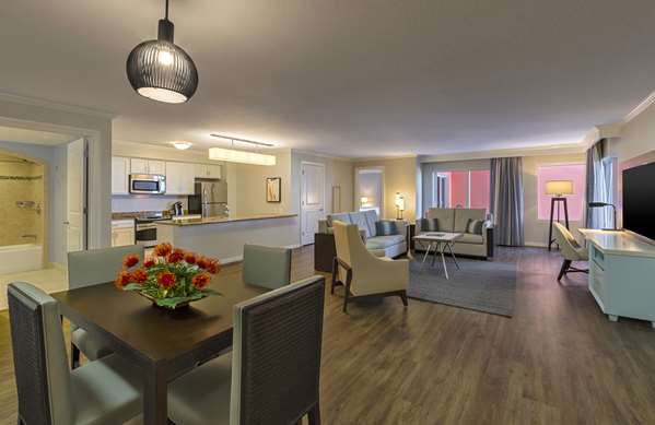 Suite - Hyatt Regency Clearwater Beach Resort & Spa