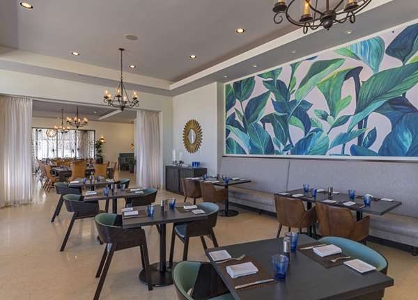 Restaurant - Hyatt Regency Clearwater Beach Resort & Spa